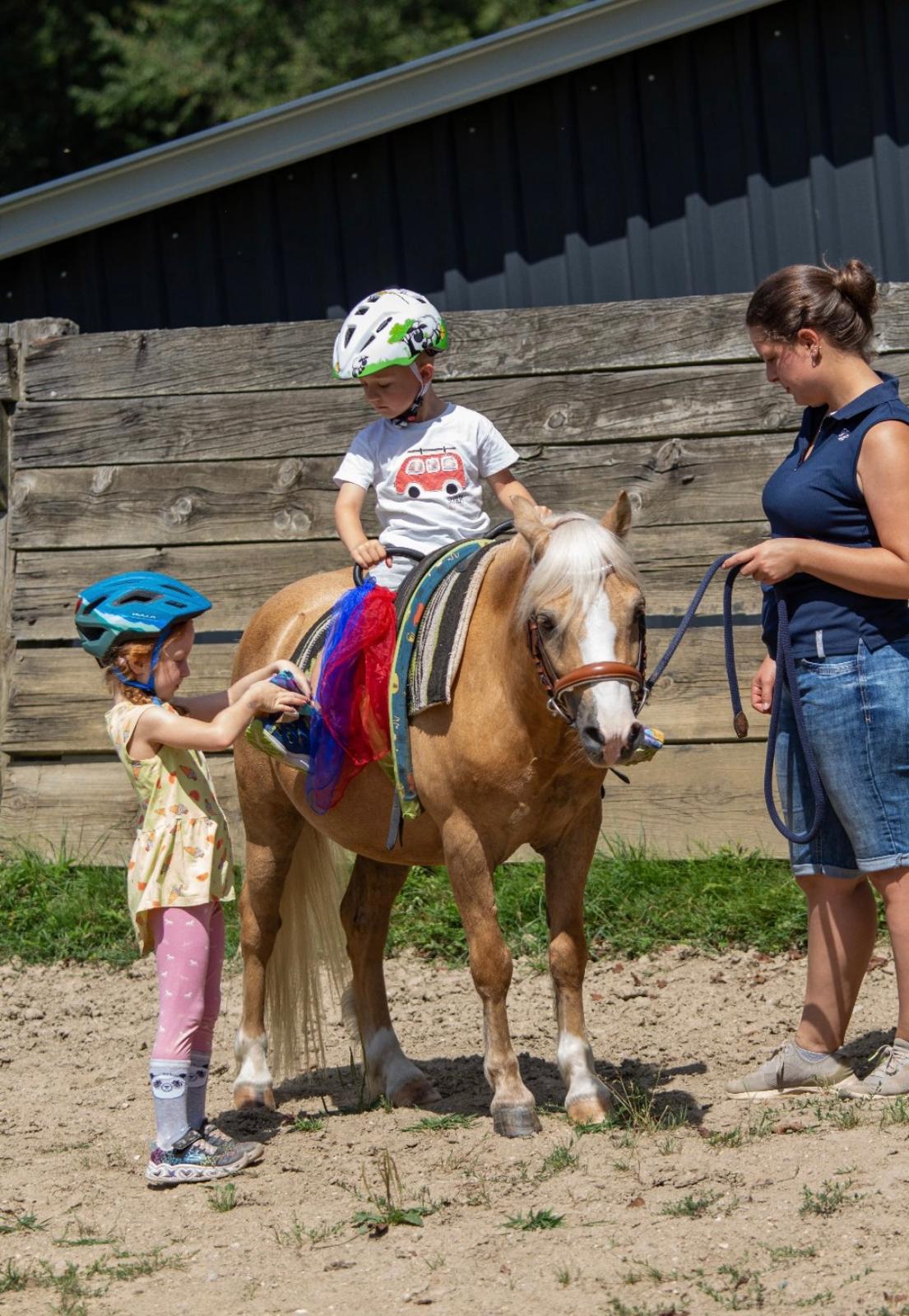 Reiten lernen
