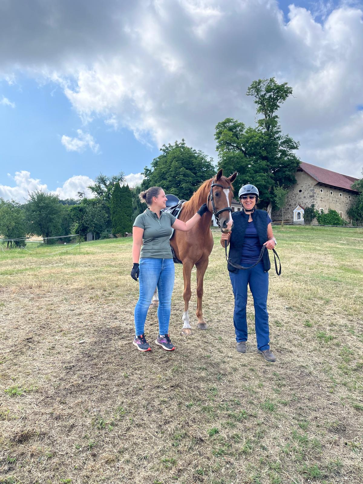Reiten lernen